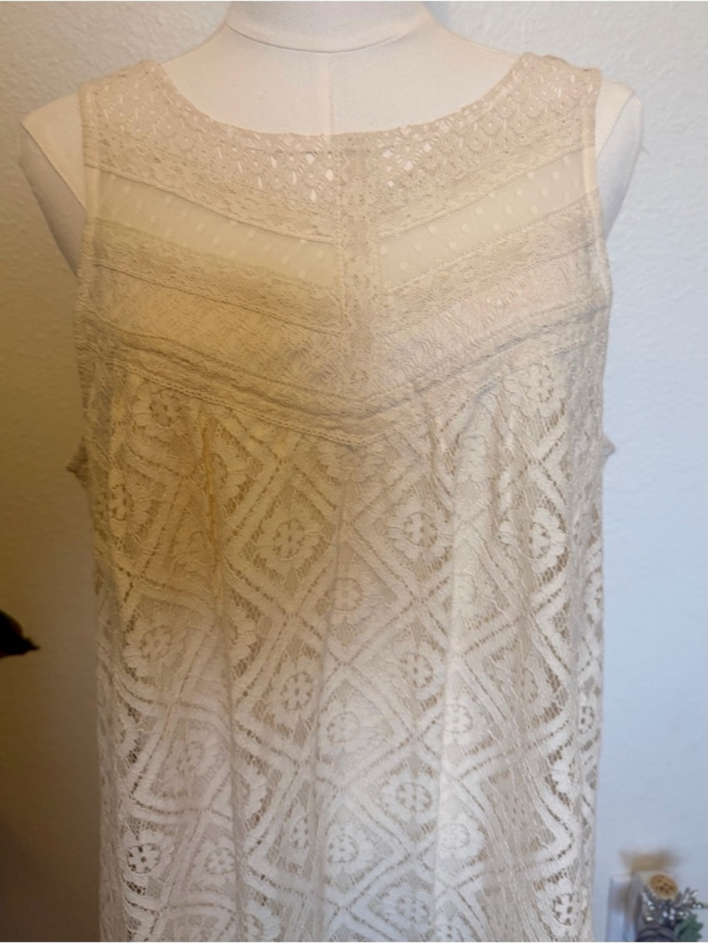 Xhilaration Cream Lace A-Line Sleeveless Dress - Picture 2 of 4